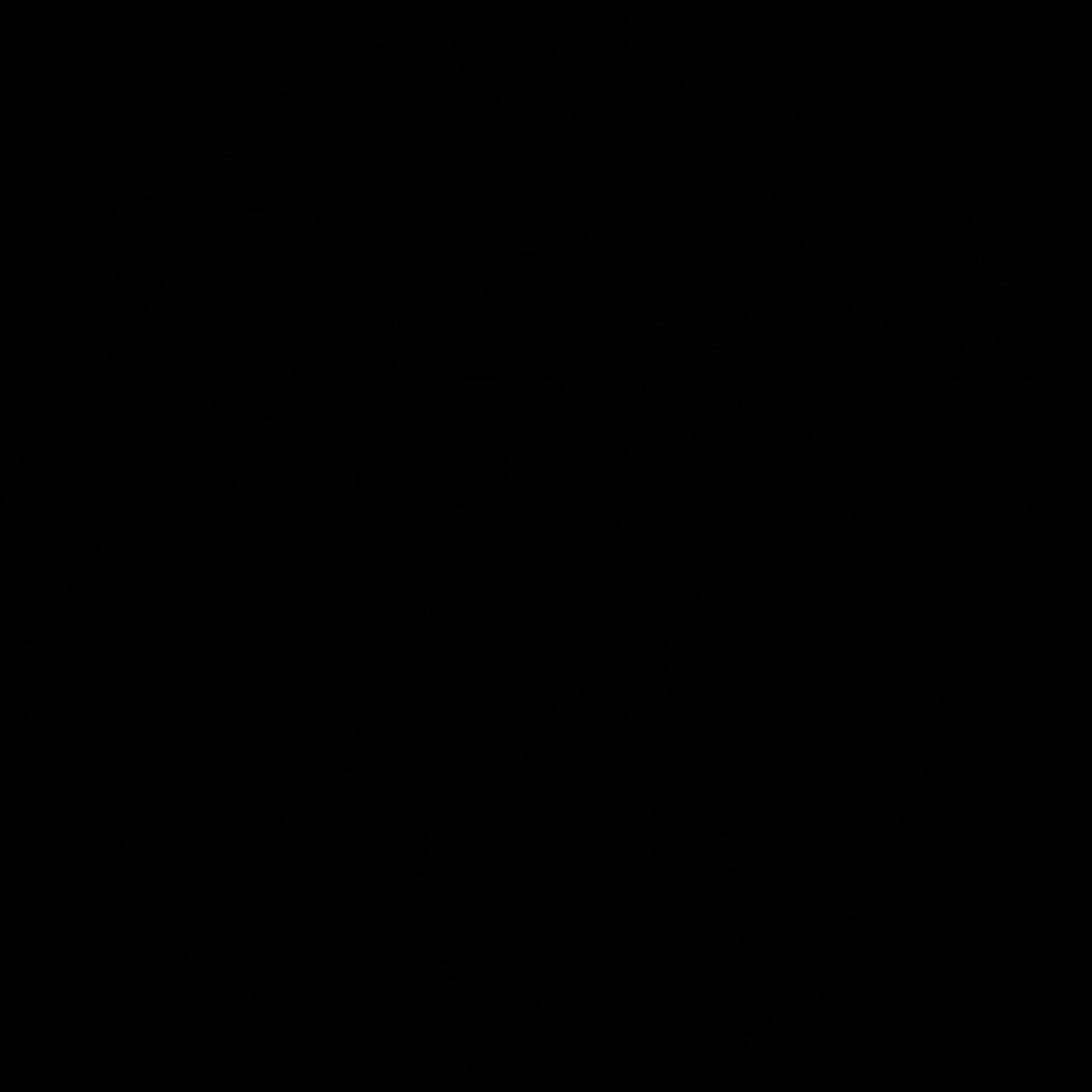 Meet your Posher, Chelsea